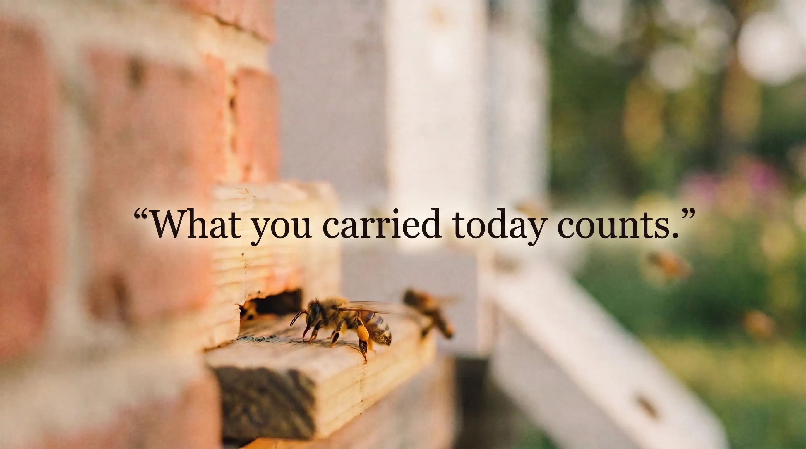 Close-up of a bee returning to the hive with pollen, symbolizing small effort that counts